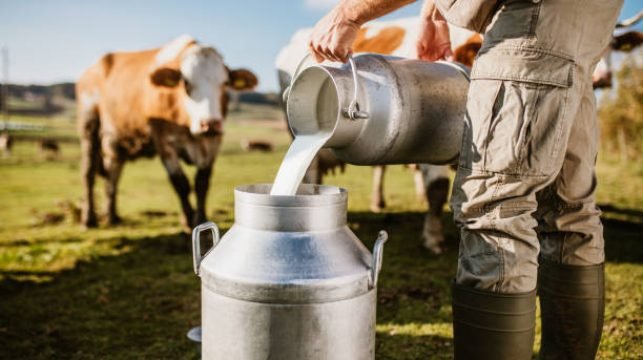 dairy farming